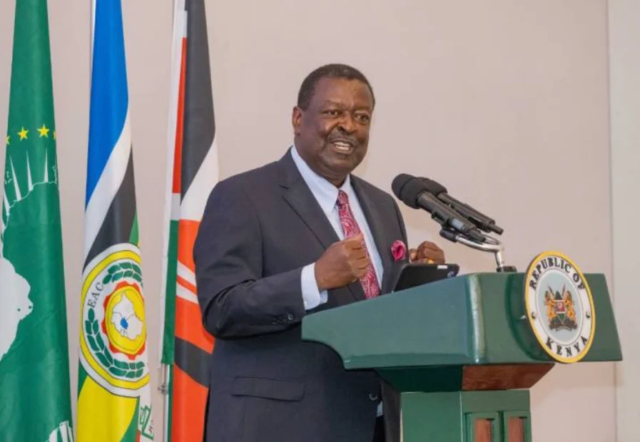 Mudavadi Calls For United African Agenda As Leaders Gather In Egypt
